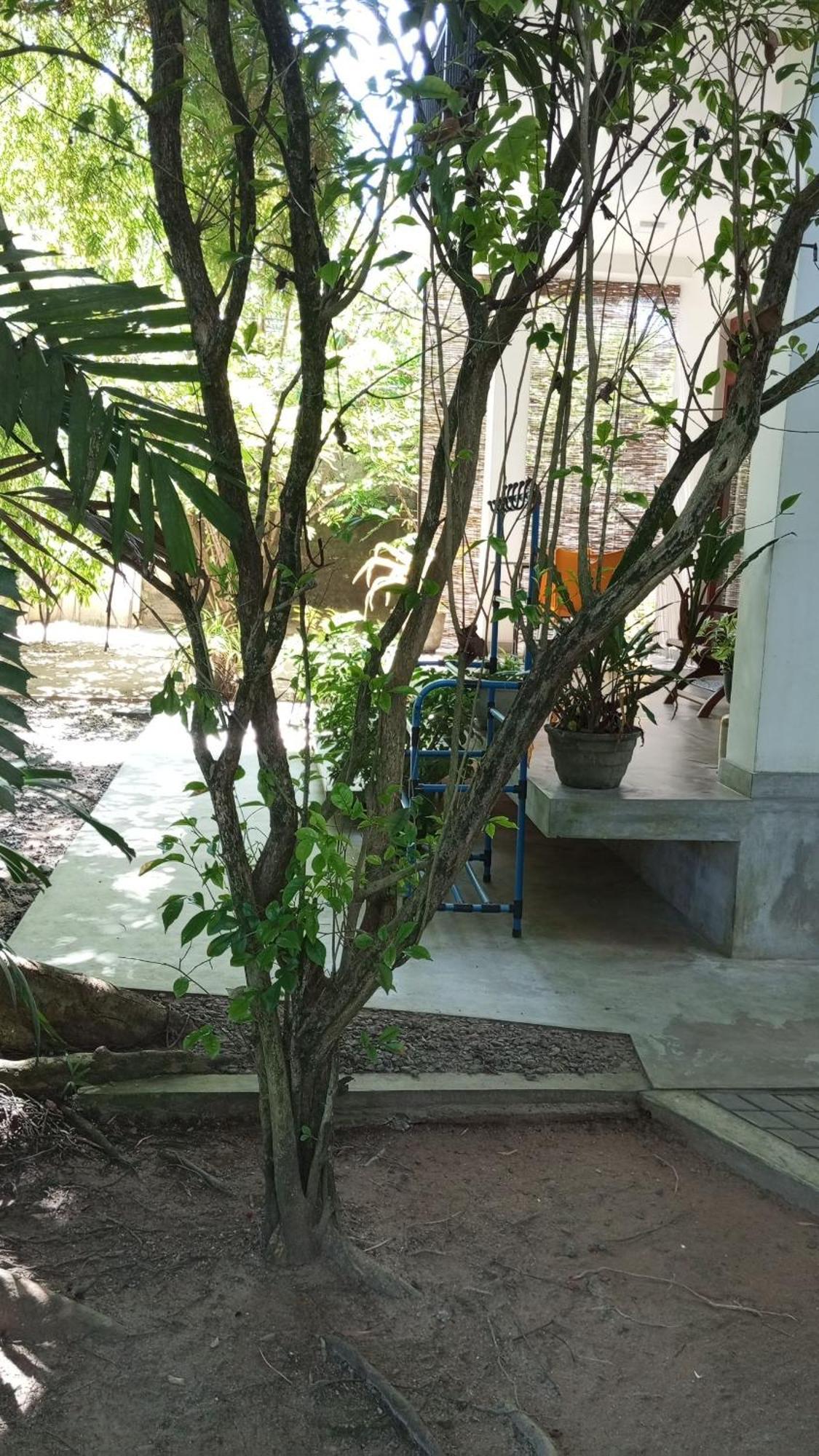 Green Corridor - Ahangama Exterior photo